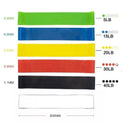 PowerFlex Pro Kit com 5 Faixas Elásticas Multifuncionais